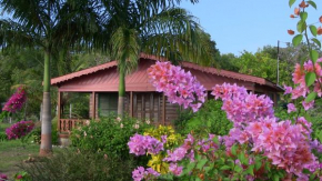 Гостиница Little Bay Beach House  Литл Бэй